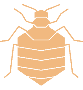 bed bug icon