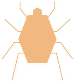 tick icon